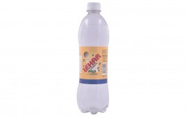 Lehar Evervess Club Soda   Plastic Bottle  600 millilitre